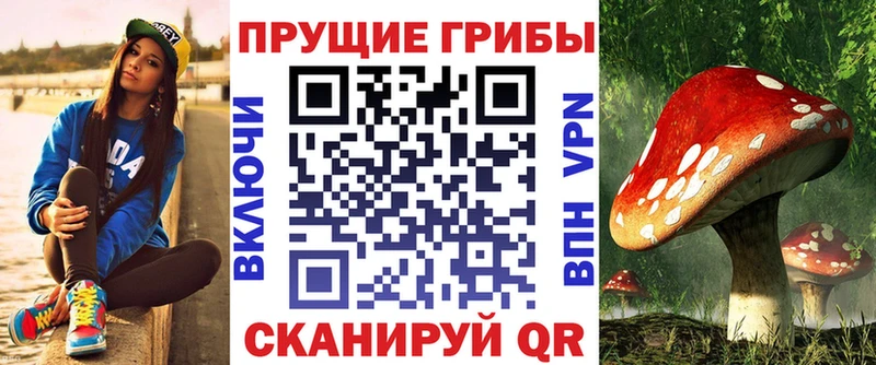 Псилоцибиновые грибы Psilocybine cubensis  где продают   Яхрома 